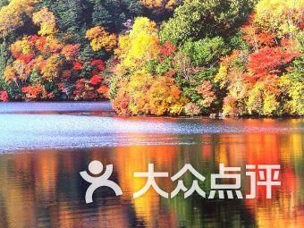 风筝线断了应尽量回收，你知道其中缘由吗？游戏画面